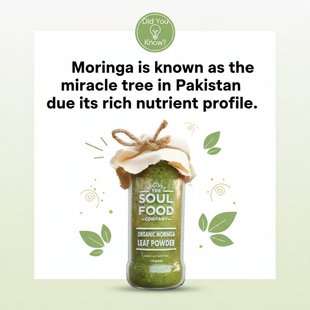 moringa powder fun fact