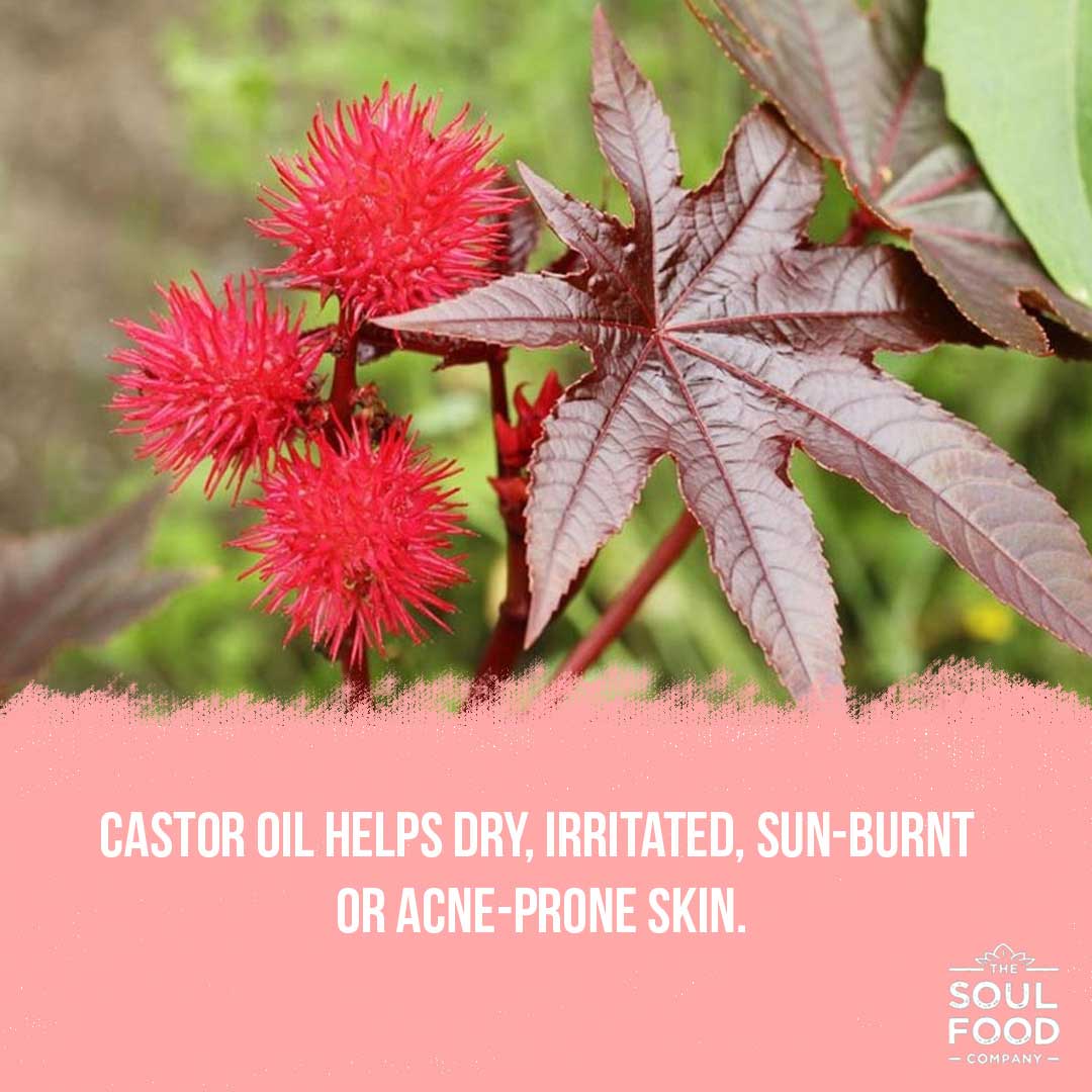 castor oil benefit - skin