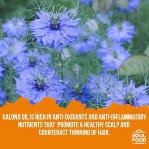 nigella seed oil benefits for hair