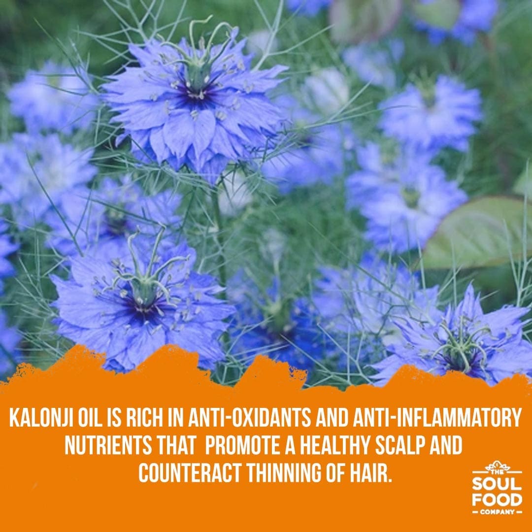 nigella seed oil benefits for hair