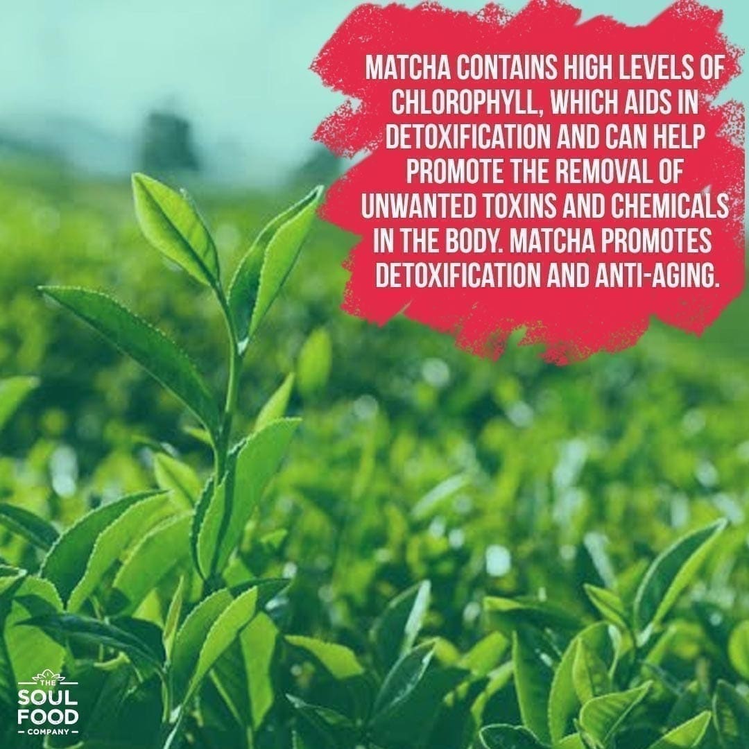 matcha benefit