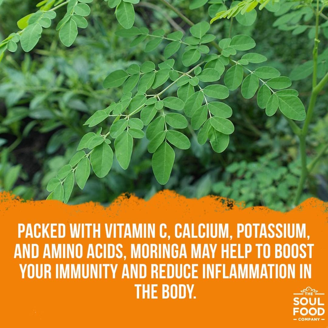 moringa tea benefit 4