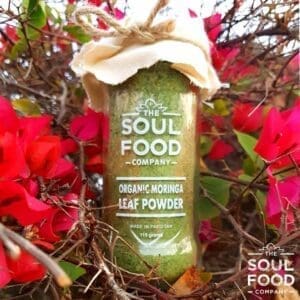 moringa leaf powder