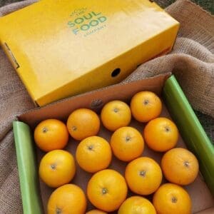 Salustiana orange box