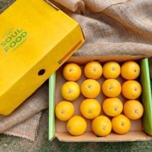 Salustiana Oranges