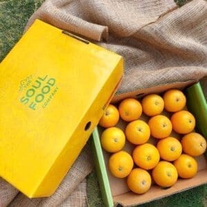 Salustiana box