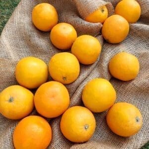 Oranges with no box